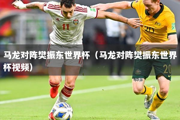 马龙对阵樊振东世界杯（马龙对阵樊振东世界杯视频）
