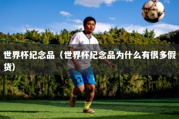 世界杯纪念品（世界杯纪念品为什么有很多假货）