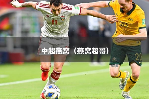 中超燕窝（燕窝超哥）