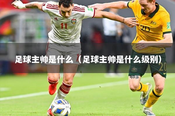 足球主帅是什么（足球主帅是什么级别）