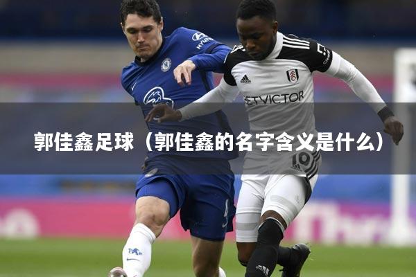 郭佳鑫足球（郭佳鑫的名字含义是什么）