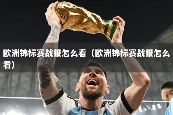 欧洲锦标赛战报怎么看（欧洲锦标赛战报怎么看）