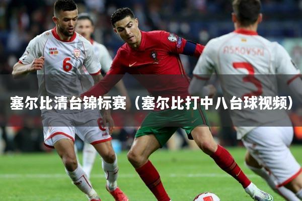 塞尔比清台锦标赛（塞尔比打中八台球视频）