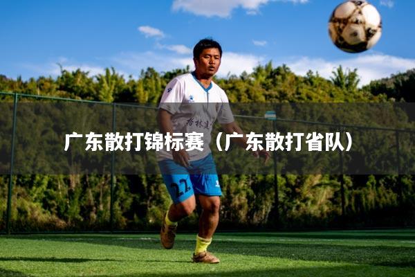 广东散打锦标赛（广东散打省队）