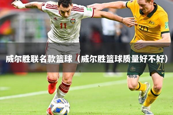 威尔胜联名款篮球（威尔胜篮球质量好不好）