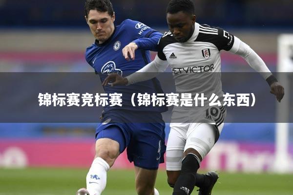 锦标赛竞标赛（锦标赛是什么东西）