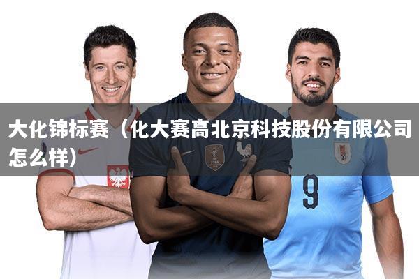 大化锦标赛（化大赛高北京科技股份有限公司怎么样）