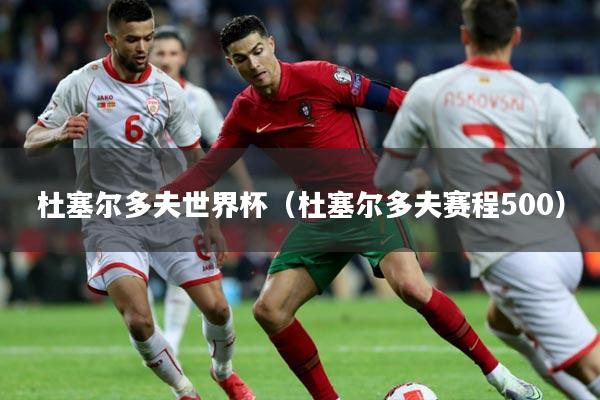 杜塞尔多夫世界杯（杜塞尔多夫赛程500）