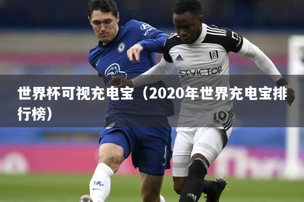 世界杯可视充电宝（2020年世界充电宝排行榜）